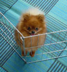 Click for full size image