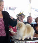 Click for full size image