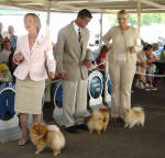 Click for full size image