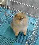 Click for full size image