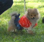 Click for full size image