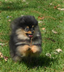 Click for full size image