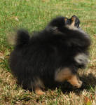 Click for full size image