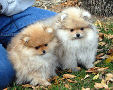 Click for full size image