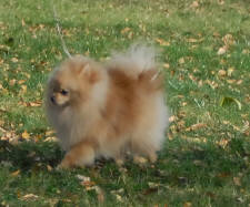 Click for full size image