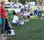 Click for full size image