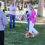 Click for full size image