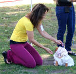 Click for full size image