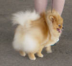 Click for full size image