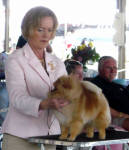 Click for full size image