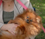 Click for full size image