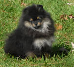 Click for full size image