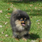 Click for full size image