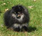 Click for full size image