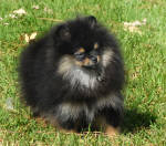 Click for full size image