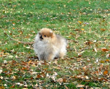 Click for full size image