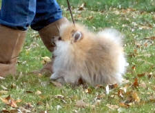 Click for full size image