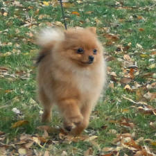 Click for full size image