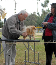 Click for full size image