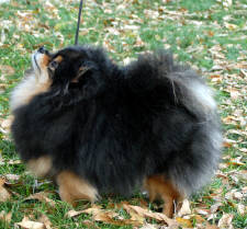 Click for full size image