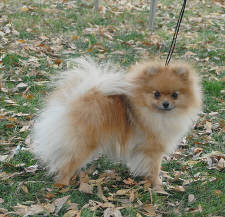 Click for full size image