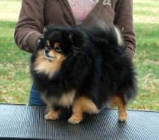 Click for full size image