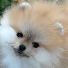 Click for full size image