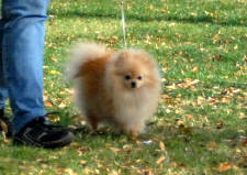 Click for full size image