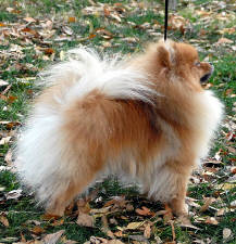 Click for full size image