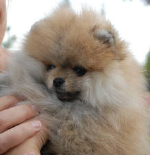 Click for full size image