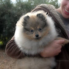 Click for full size image