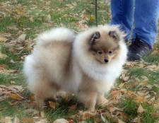 Click for full size image