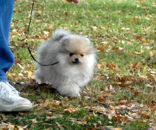 Click for full size image